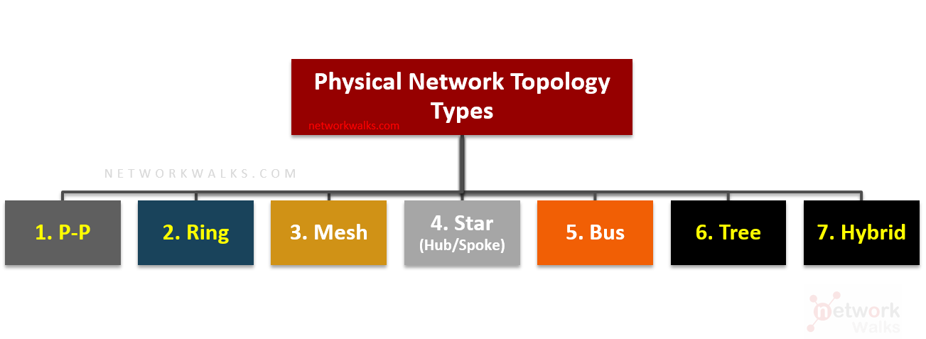 Network Topology Types - Networkwalks Academy