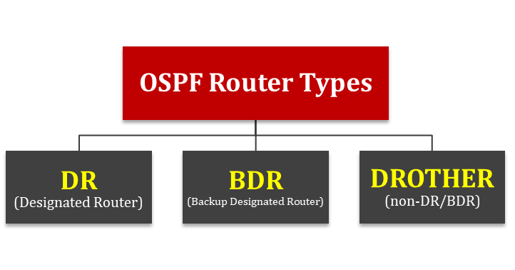 ospf-dr-bdr-3