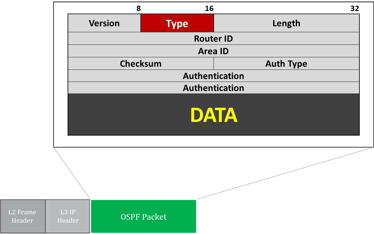 ospf-open-shortest-path-first-packet-format-1