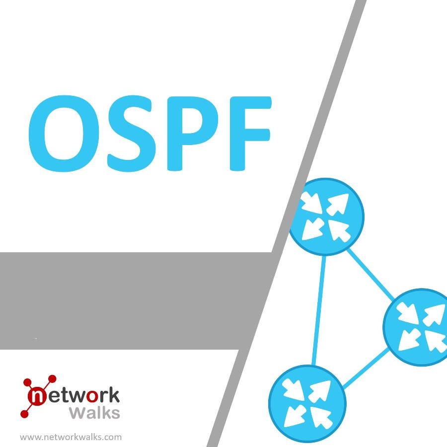 ospf-routing-protocol